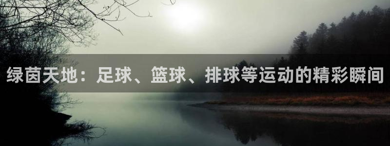 绿茵天地：足球、篮球、排球等运动的精彩瞬间
