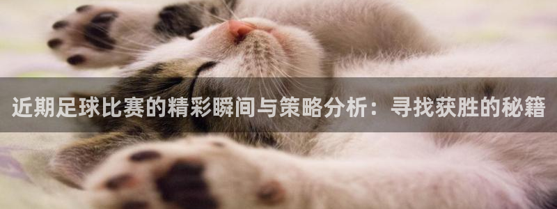 近期足球比赛的精彩瞬间与策略分析：寻找获胜的秘籍