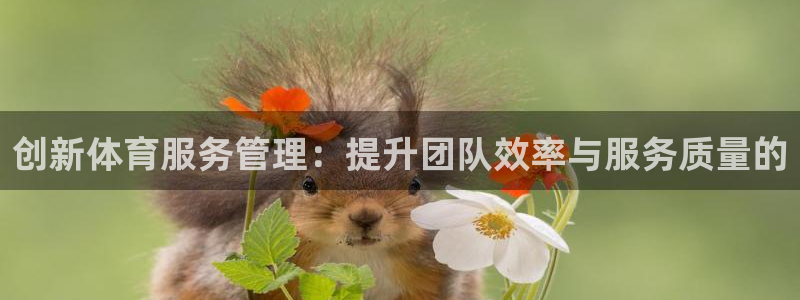创新体育服务管理：提升团队效率与服务质量的