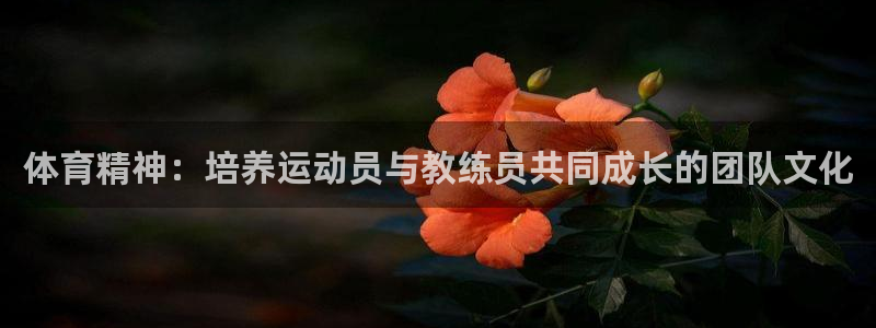 体育精神：培养运动员与教练员共同成长的团队文化