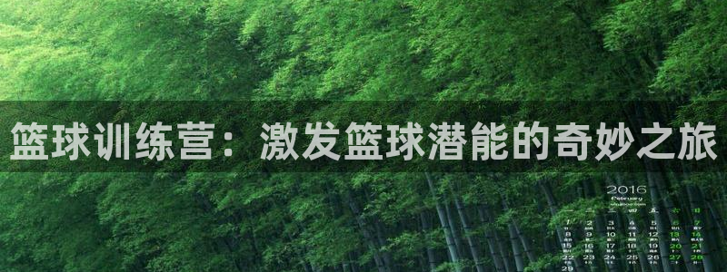 篮球训练营：激发篮球潜能的奇妙之旅
