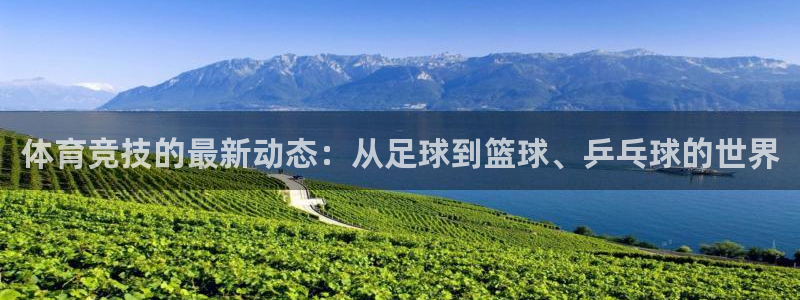 体育竞技的最新动态：从足球到篮球、乒乓球的世界