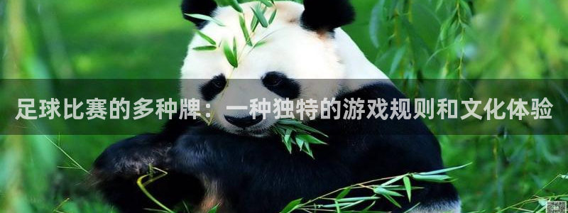 蓝鲸体育转播：足球比赛的多种牌：一种独特的游戏规则和文化体验