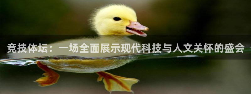 蓝鲸体育篮球直播：竞技体坛：一场全面展示